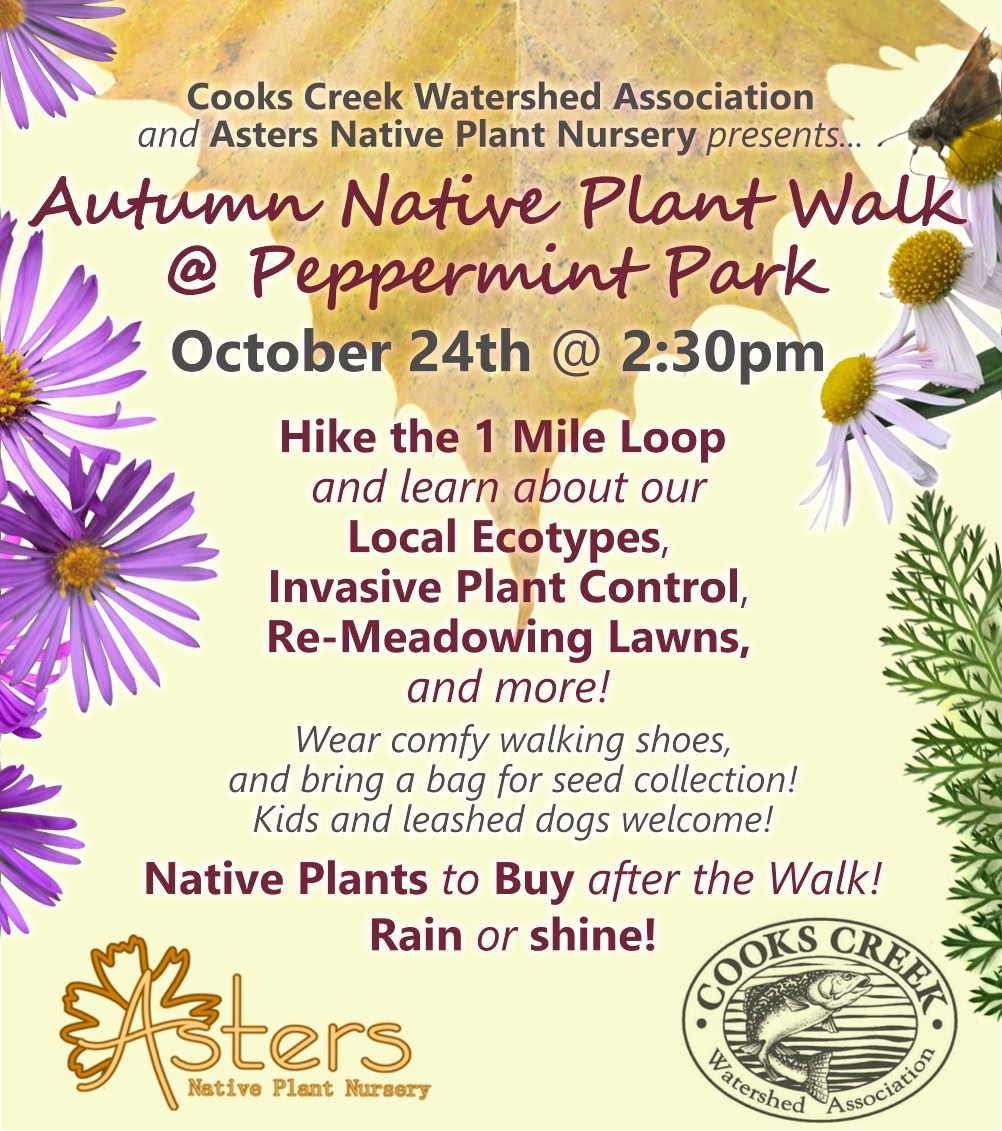 Autumn Native Plant Walk at Peppermint Park