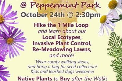 Autumn Native Plant Walk at Peppermint Park
